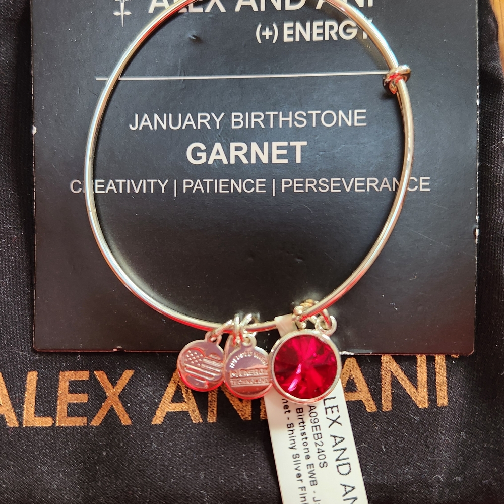 Alex and Ani January Birthstone Bangle - Red Garnet